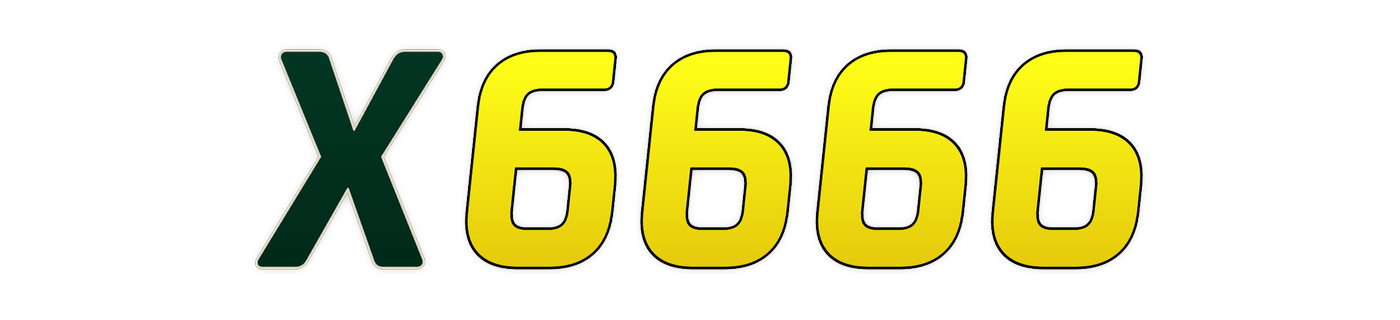 x6666